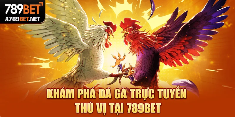 Khám phá đá gà trực tuyến thú vị từng phút